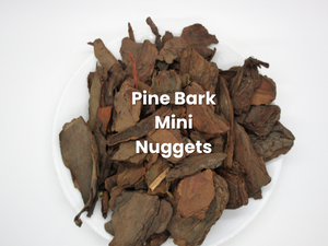 Pile of brown pine bark nuggets with “Pine Bark Mini Nuggets” text.