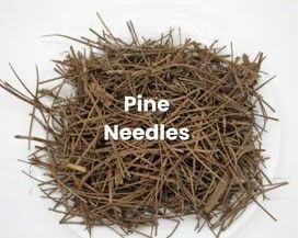 Pile of brown pine needles on a white background