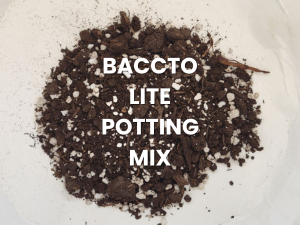 Baccto Lite potting mix spilled on a white surface with the label visible