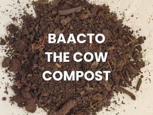 Brown compost pile with white text reading “BAACTO THE COW COMPOST”