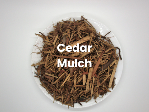 Cedar mulch in a clear bowl on a white background.
