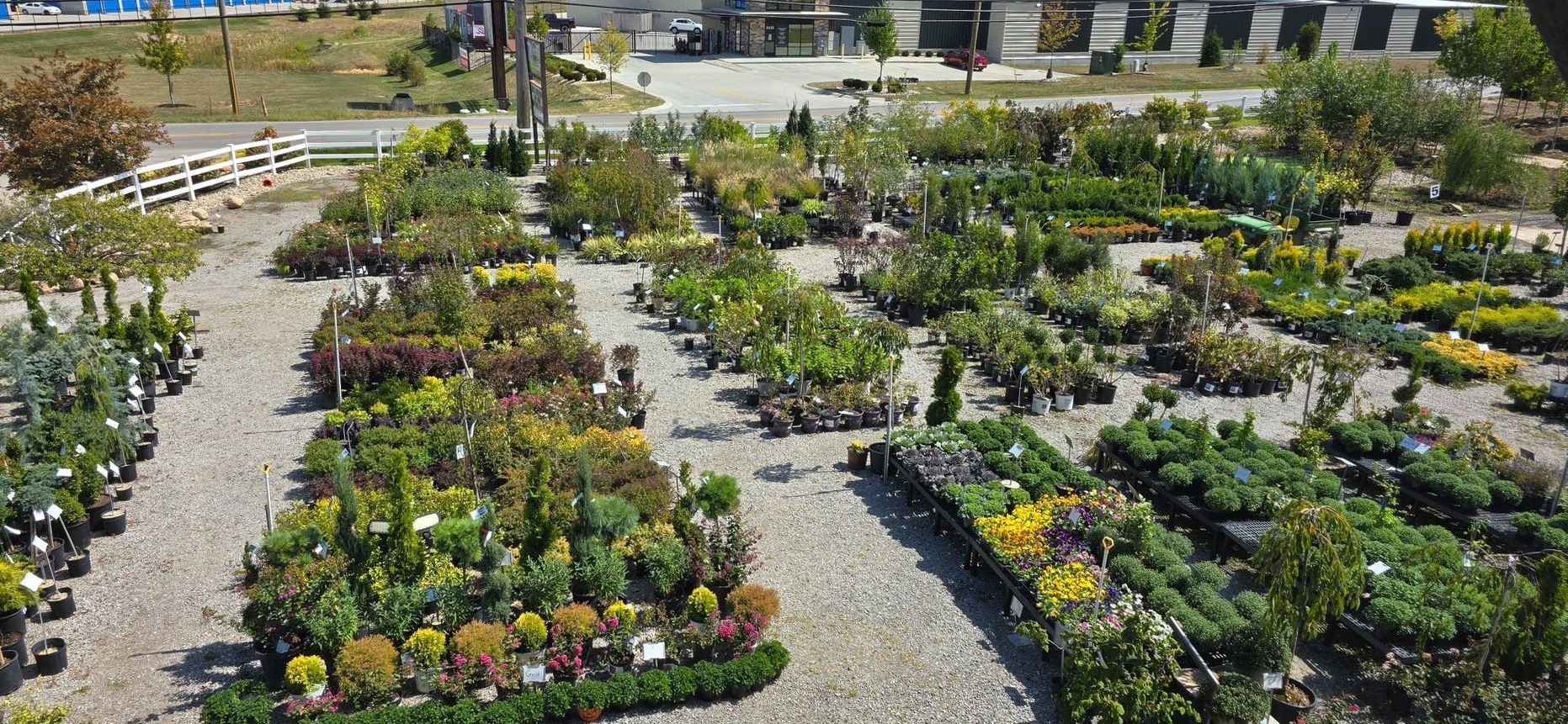 Raised flower beds in a sunny garden center with rows of colorful plants and gravel paths