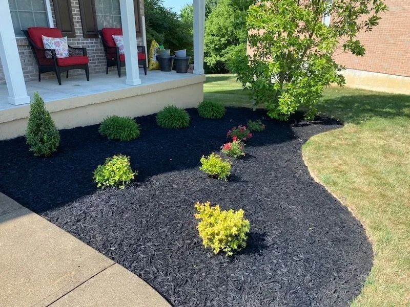 Front porch landscaping with black mulch, small shrubs, and a red chair beside a concrete walkway.