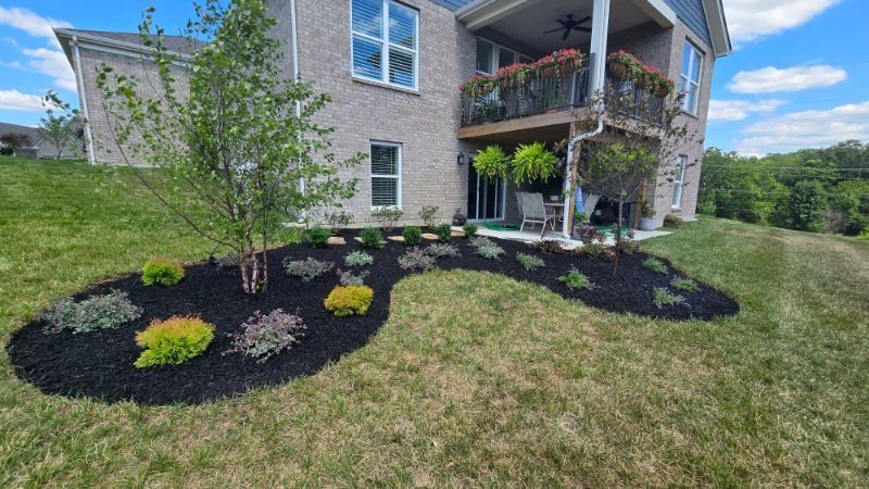 Landscaped front yard with black mulch, colorful shrubs, and a brick house with a balcony