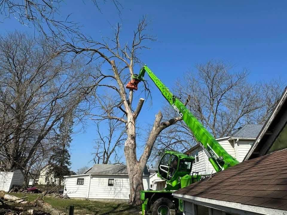 A green crane is cutting a tree in front of a house.