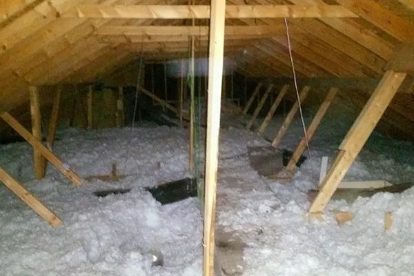 aksarben-bat-and-critter-removal