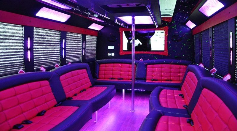 18 Passenger Party Bus interior