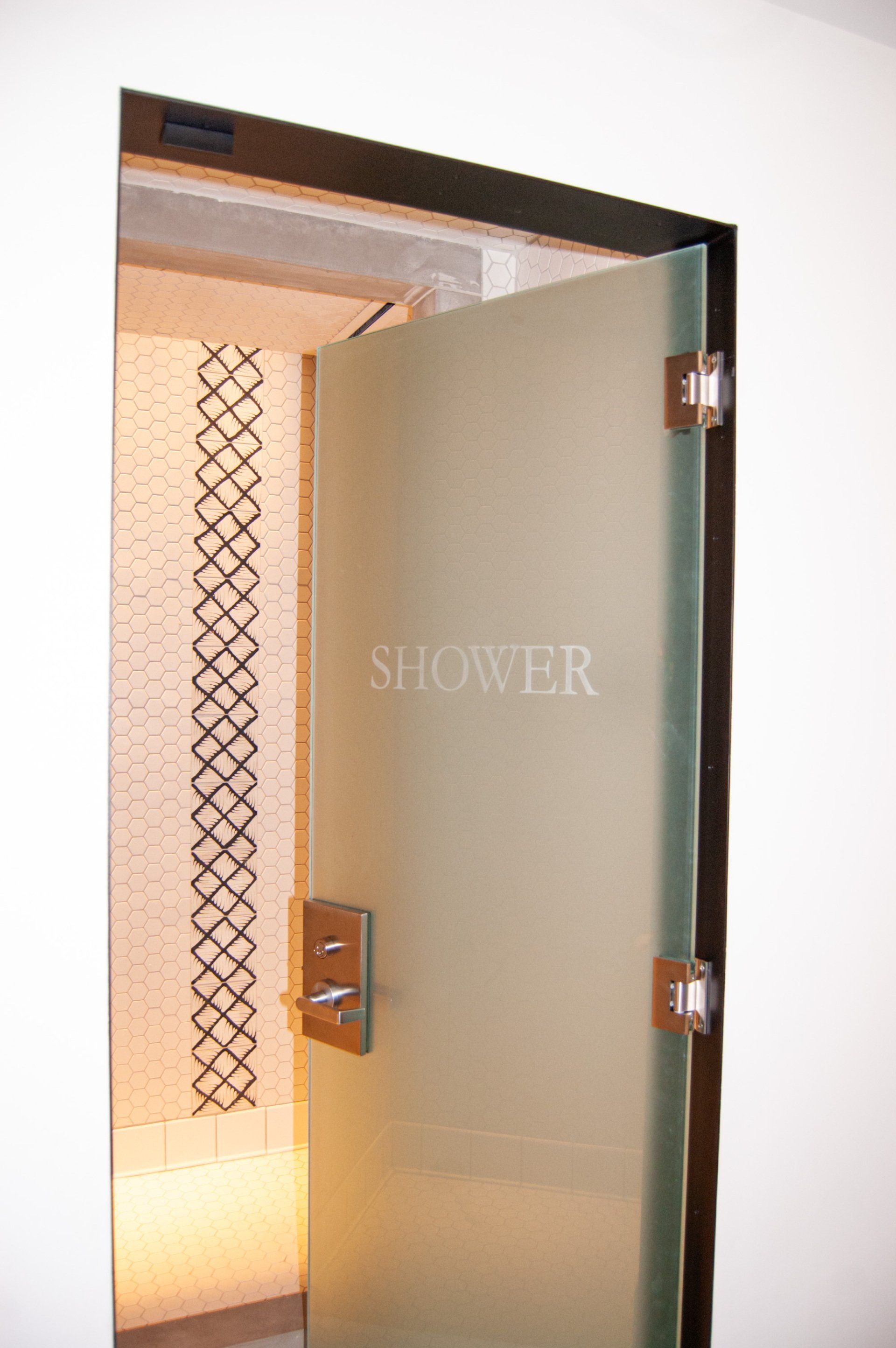 Shower door