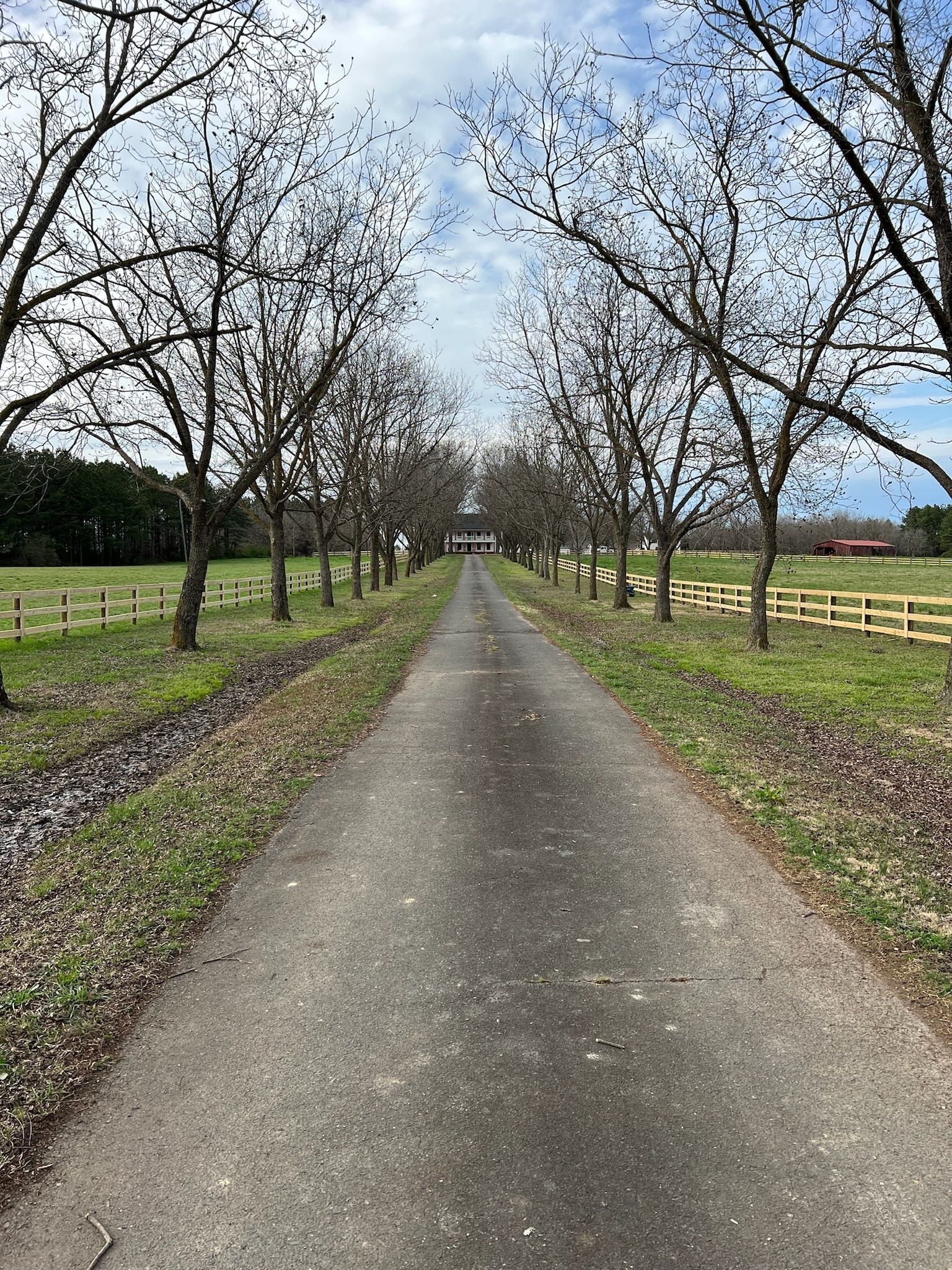 Long driveway lined with bare trees, leading to a house under a cloudy sky.