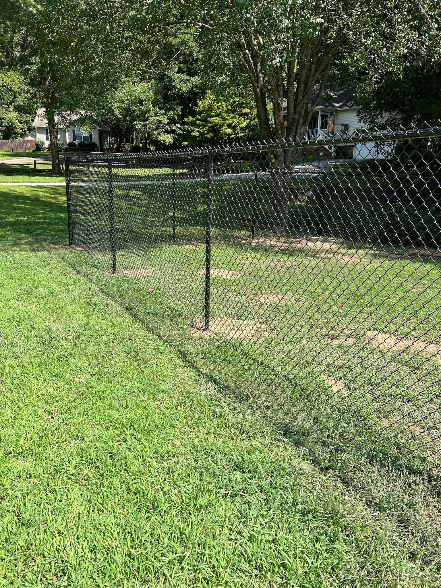 Black netting fence in a grassy backyard, with trees and houses in the background.