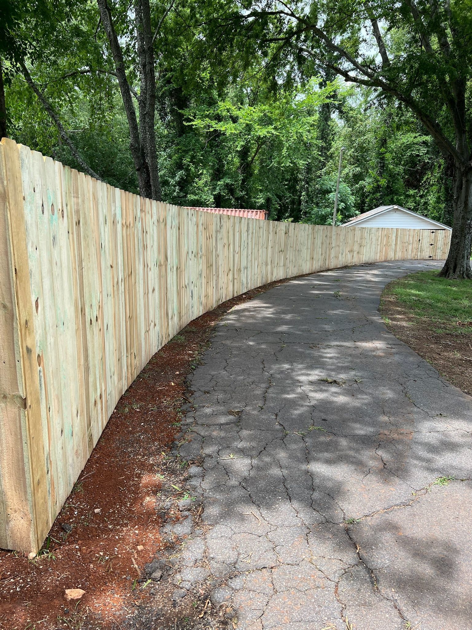 Wooden fence curves along a driveway, next to dirt and tall trees.