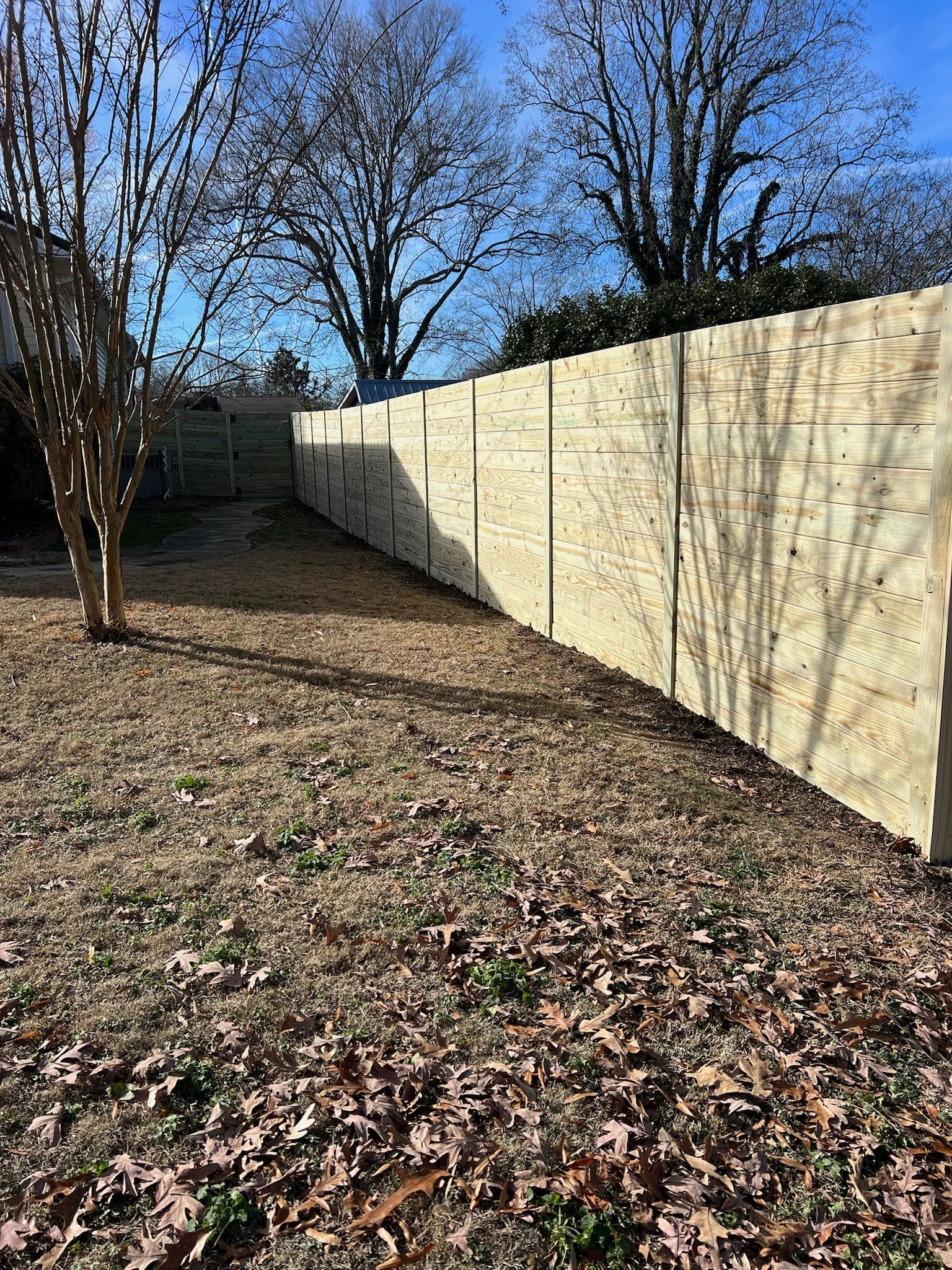 Backyard with a wooden fence, trees, and dry grass.