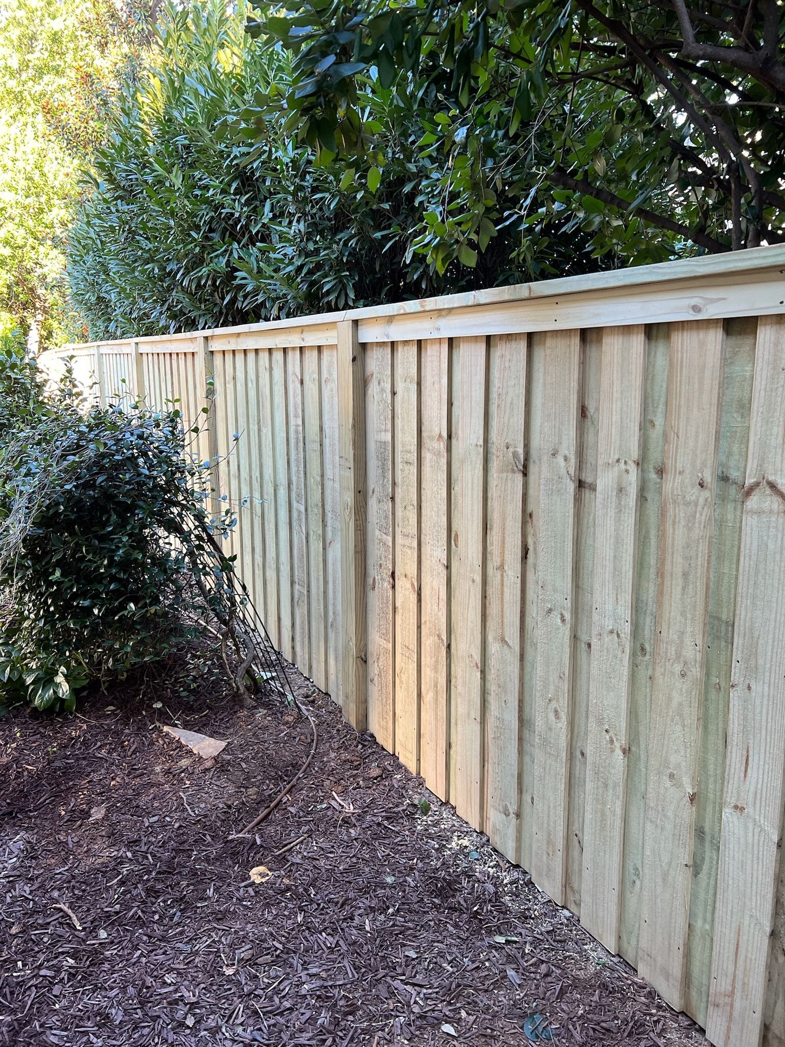 Wooden fence alongside a bed of mulch and foliage.