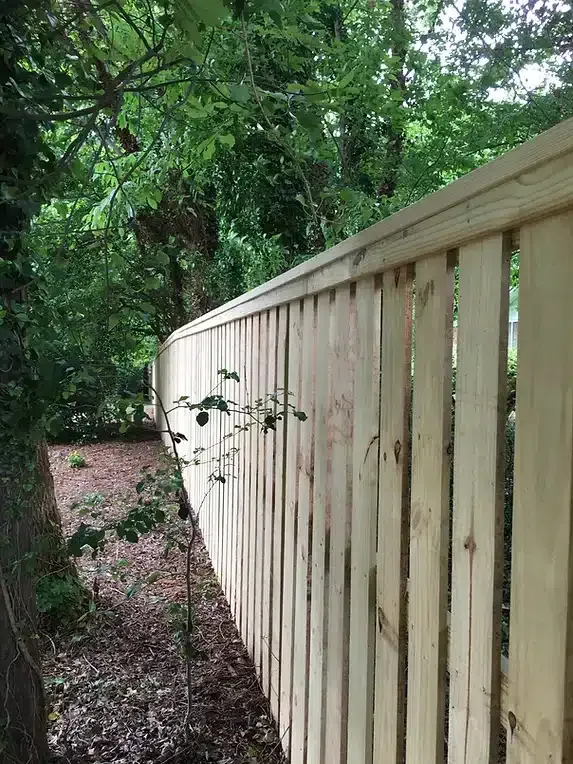 Wooden fence in a wooded area; trees in the background, sunlit.