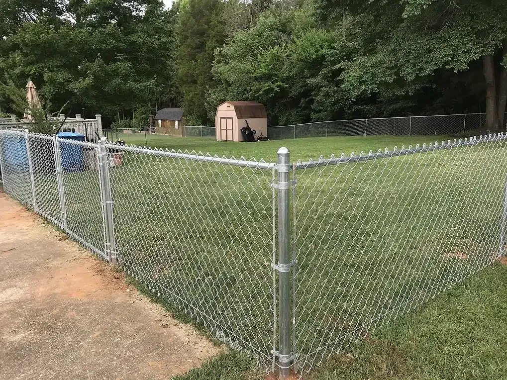 Chain-link fence surrounds a grassy yard with a shed, trees, and a partially visible house.
