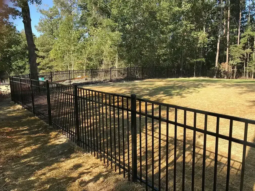 Black metal fence surrounds a grassy yard with trees in the background.