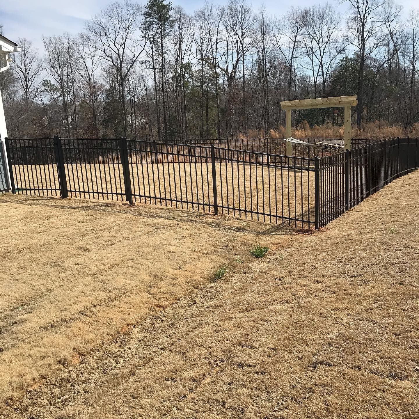 Black fence encloses a yard with dry grass. A wooden pergola is in the background.