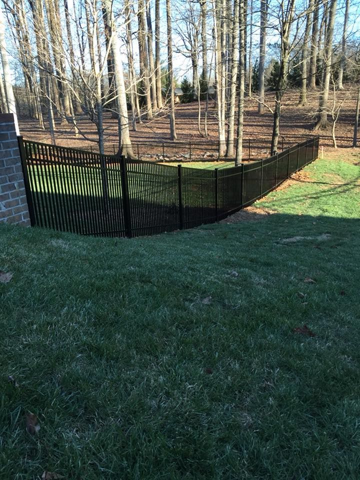 Black metal fence enclosing a backyard with trees. The fence is on a grassy hill.