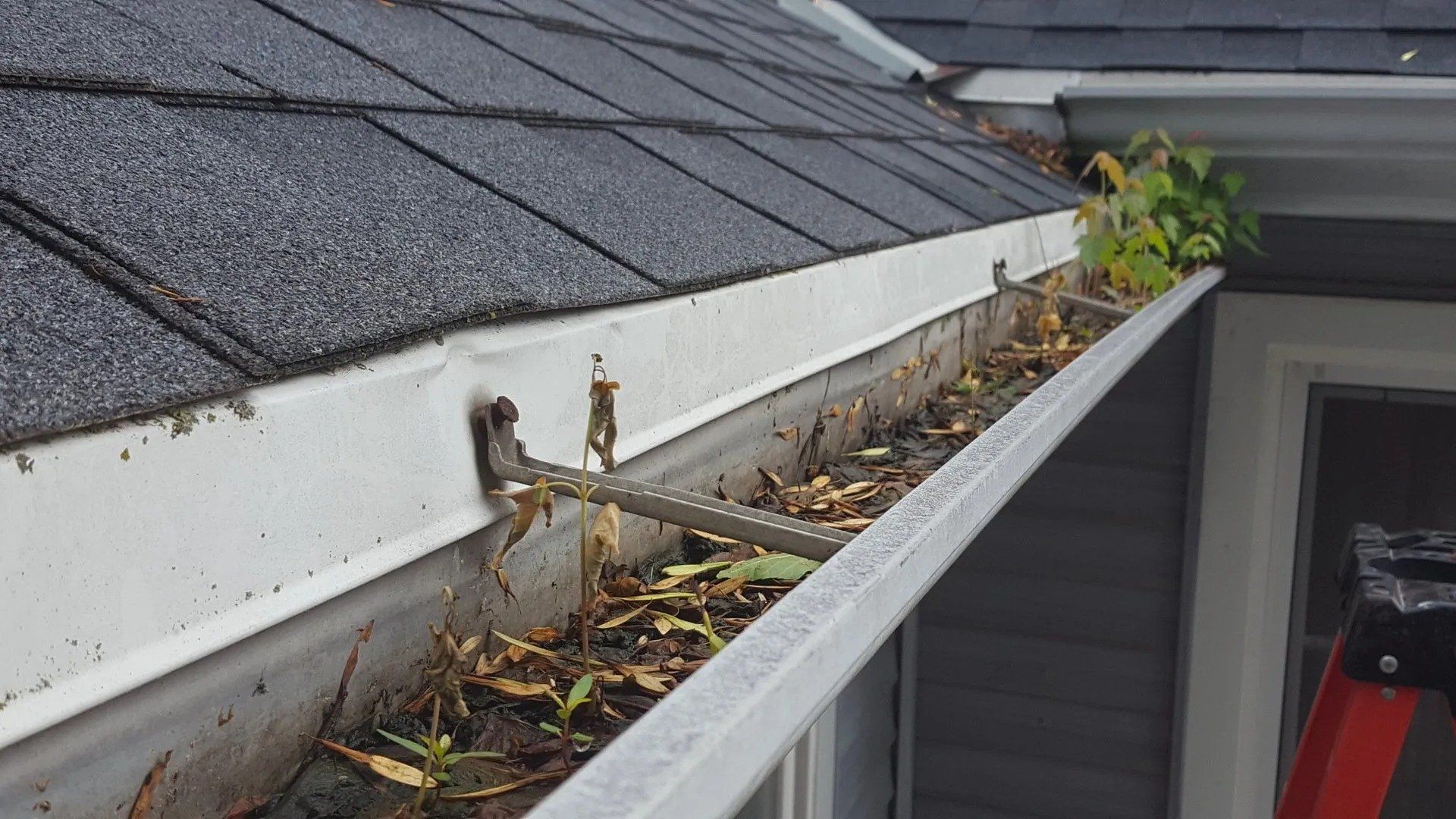 White 5 inch gutter