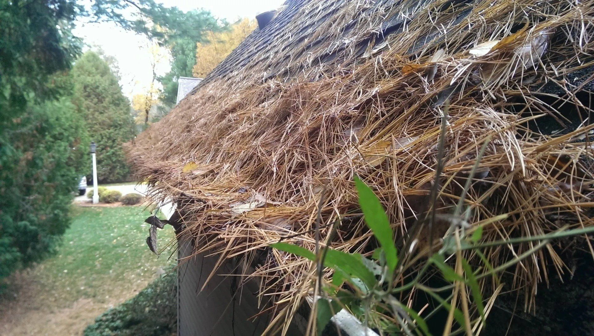 Before and After of an Extremely Dirty Gutter
