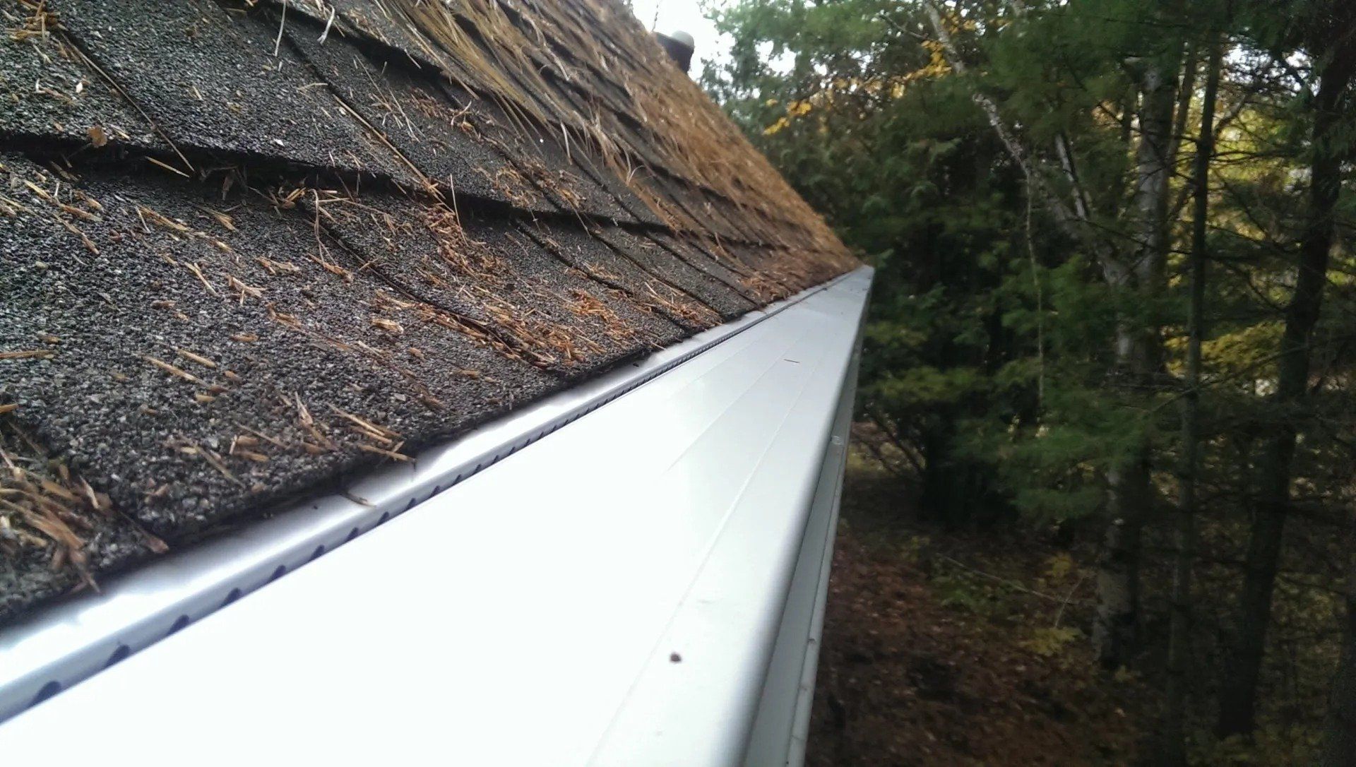 Before and After of an Extremely Dirty Gutter