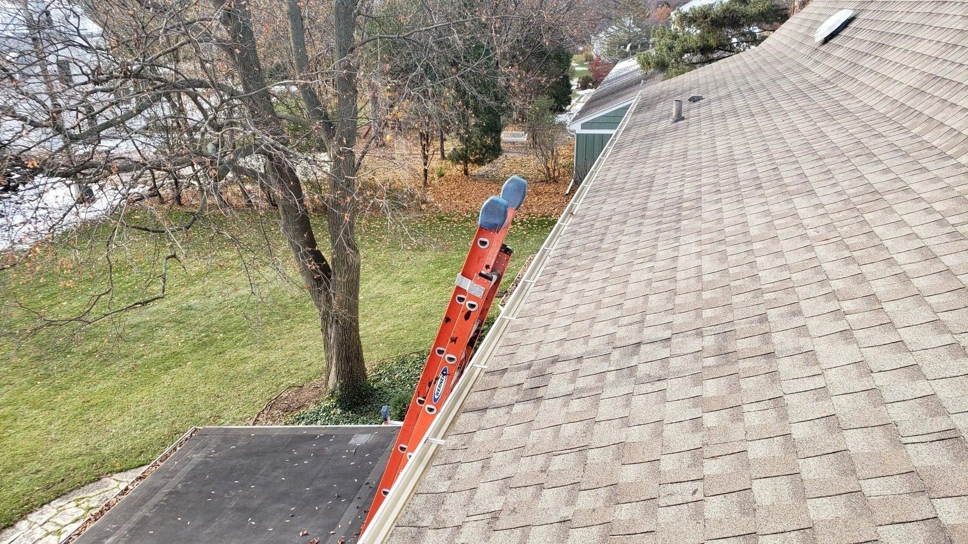 Gutter cleaning