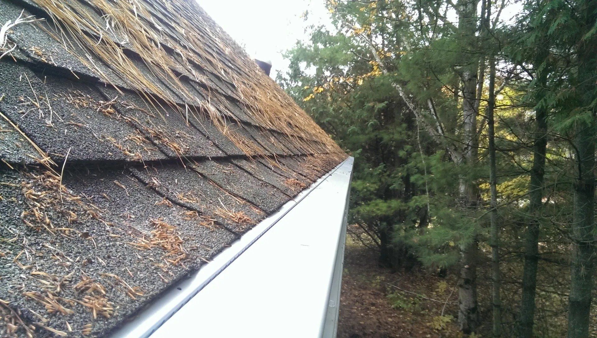 Before and After of an Extremely Dirty Gutter