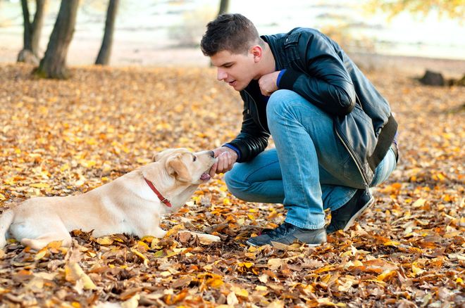Man squats, petting a yellow Labrador dog in a park covered in autumn leaves.