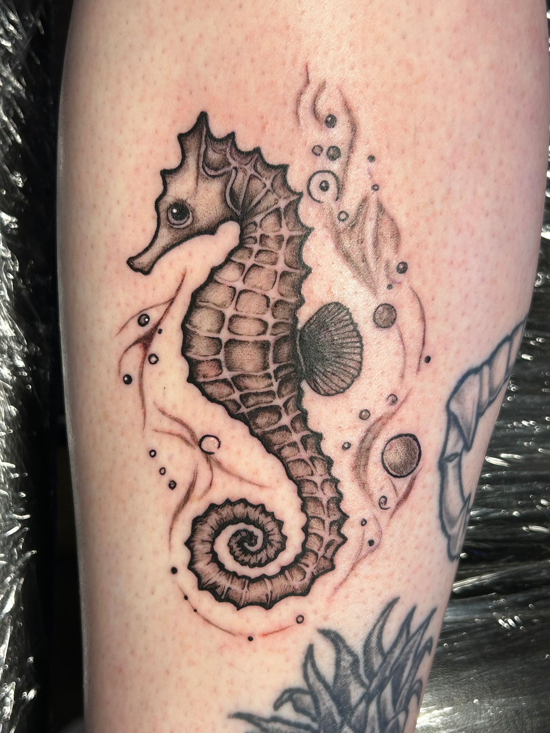 Seahorse tattoo in black ink with a spiral tail and bubbles on skin