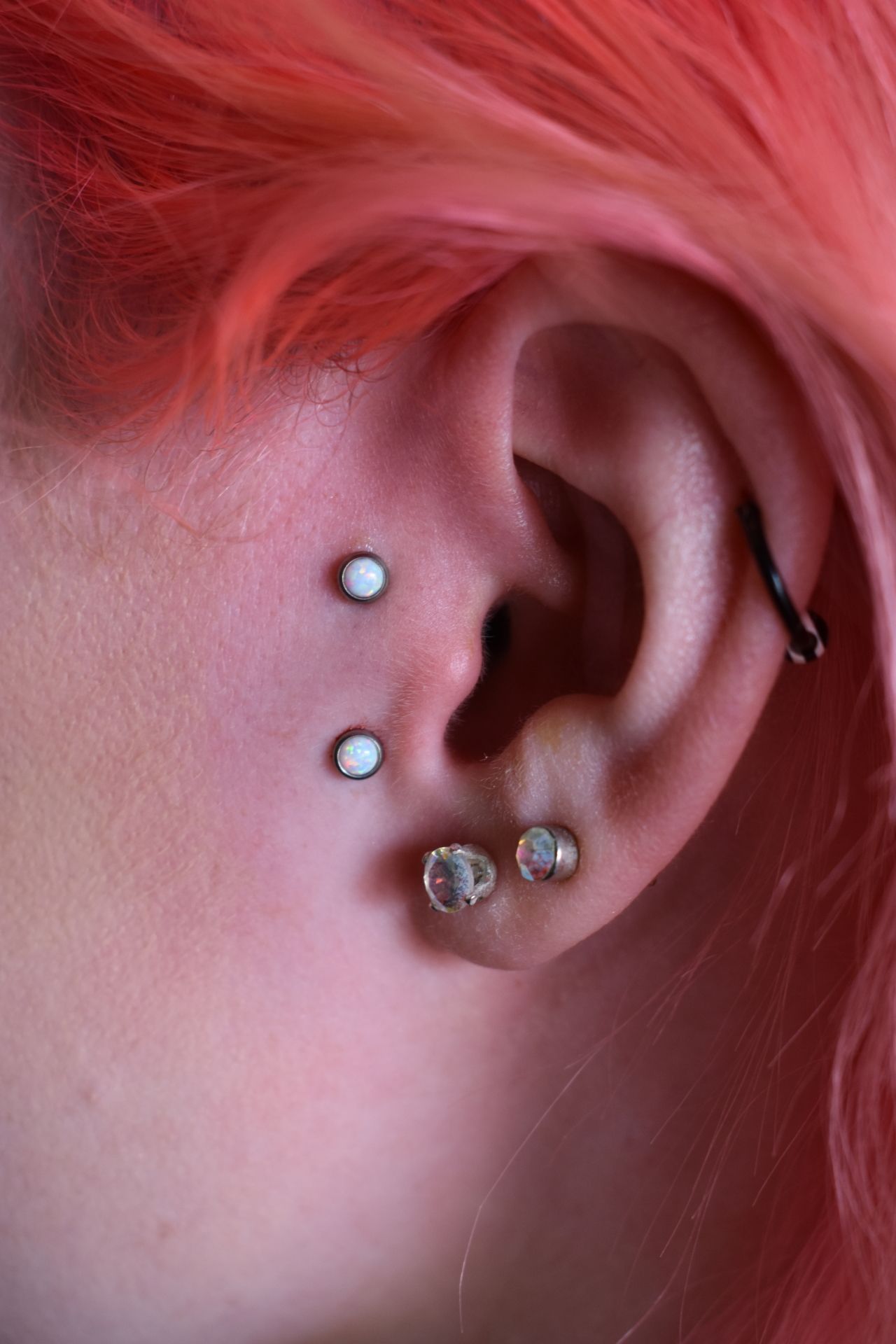 Close-up of an ear with multiple silver piercings and short pink hair