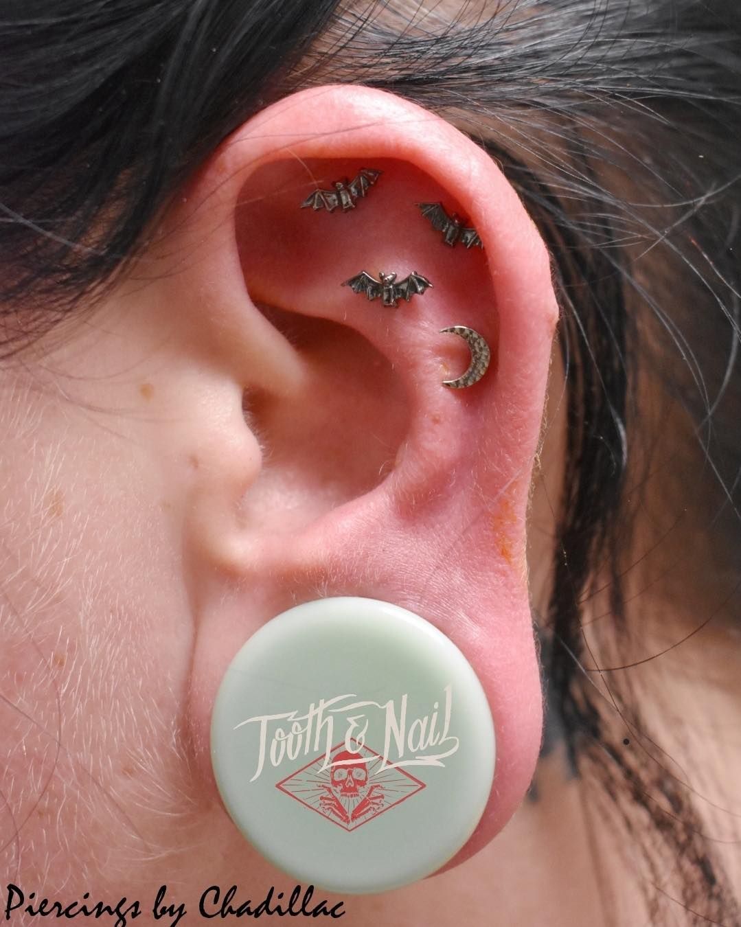 Close-up of an ear with multiple small piercings and a white ear gauge plug.