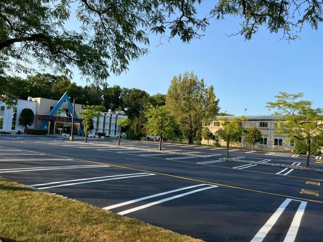 Empty asphalt parking lot with white lane markings, trees, and buildings under a blue sky.