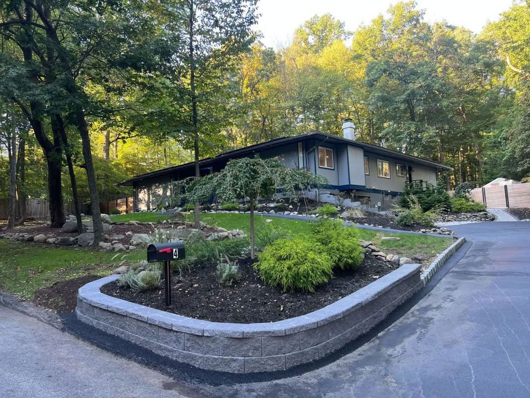 A modern, single-story house with a landscaped yard and a paved driveway, surrounded by trees.