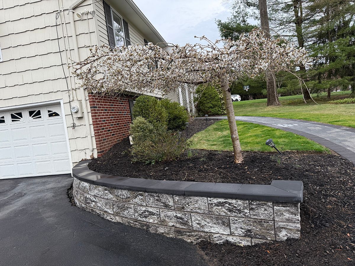 Stone retaining wall with a flowering tree and shrubbery next to a house and driveway.