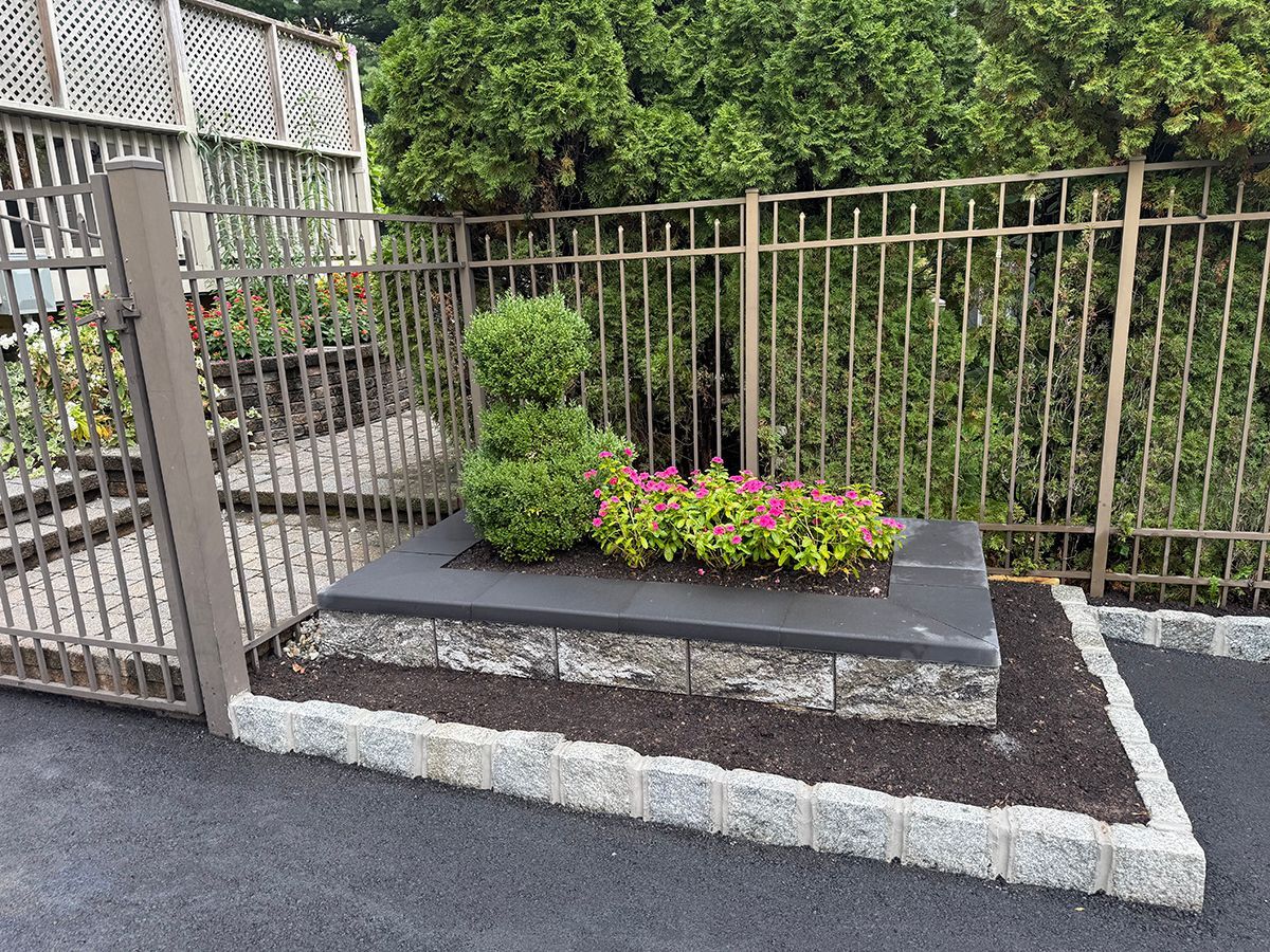 A small garden bed with a low stone wall, containing plants and surrounded by a metal fence.