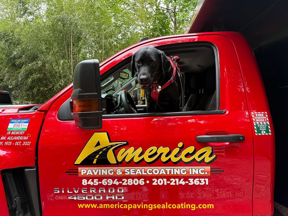 Black Labrador in a red work truck with company logo.