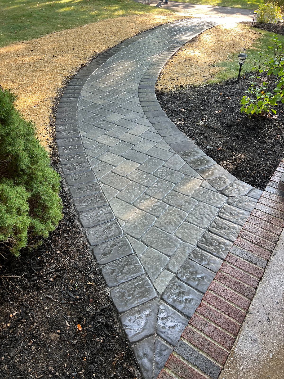 Brick pathway curves through a garden, bordered by mulch and grass.