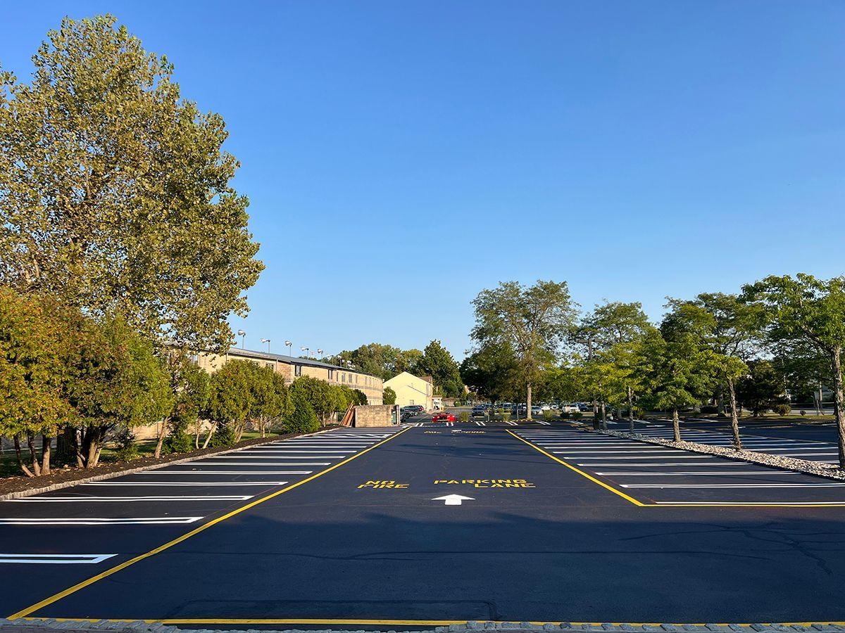 Empty asphalt parking lot with painted lines, trees, and a building under a blue sky.