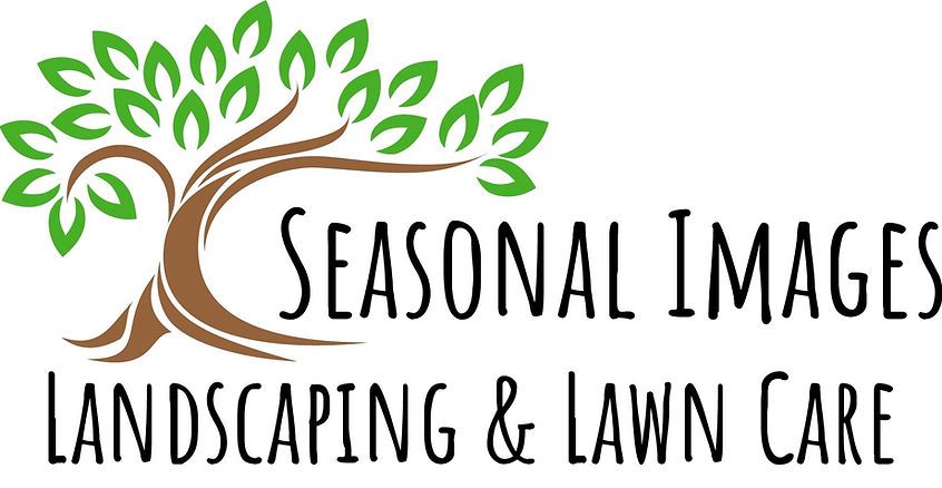 the logo for seasonal images landscaping and lawn care has a tree with leaves on it .