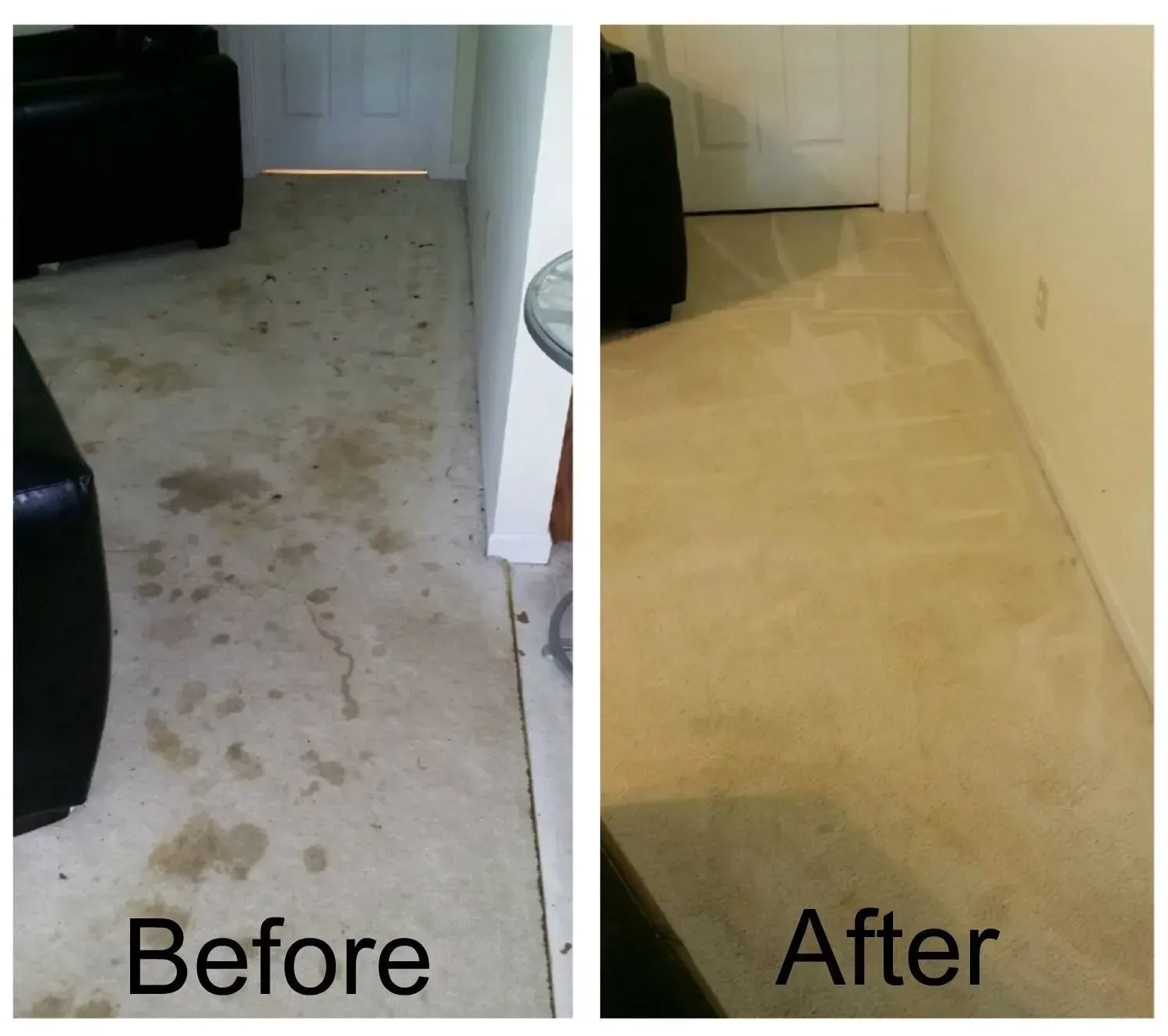 A before and after photo of a carpet in a living room