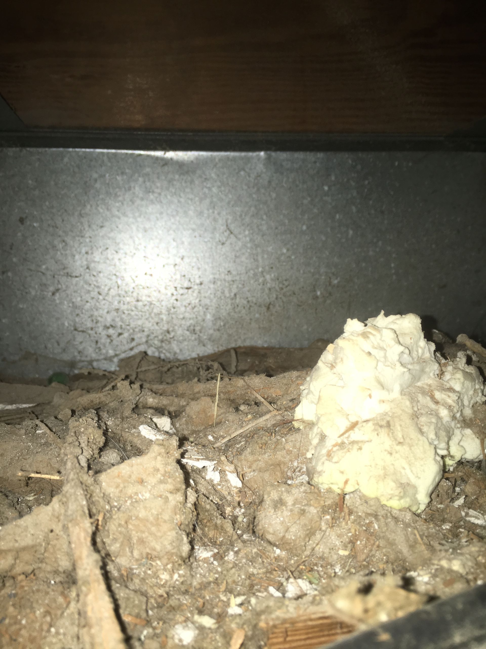 A pile of foam is sitting on top of a pile of dirt.