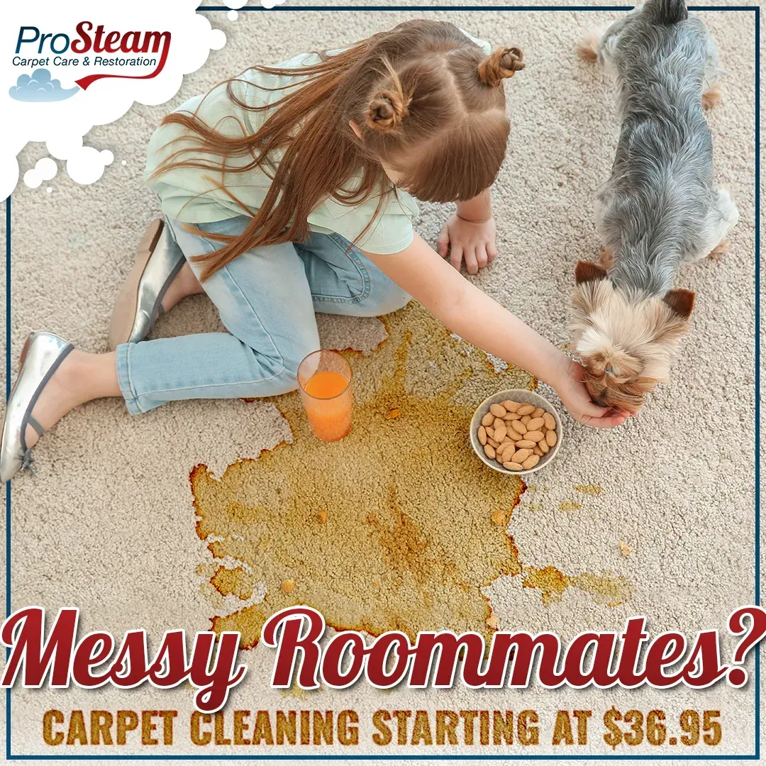 A girl is kneeling on the floor feeding two dogs.