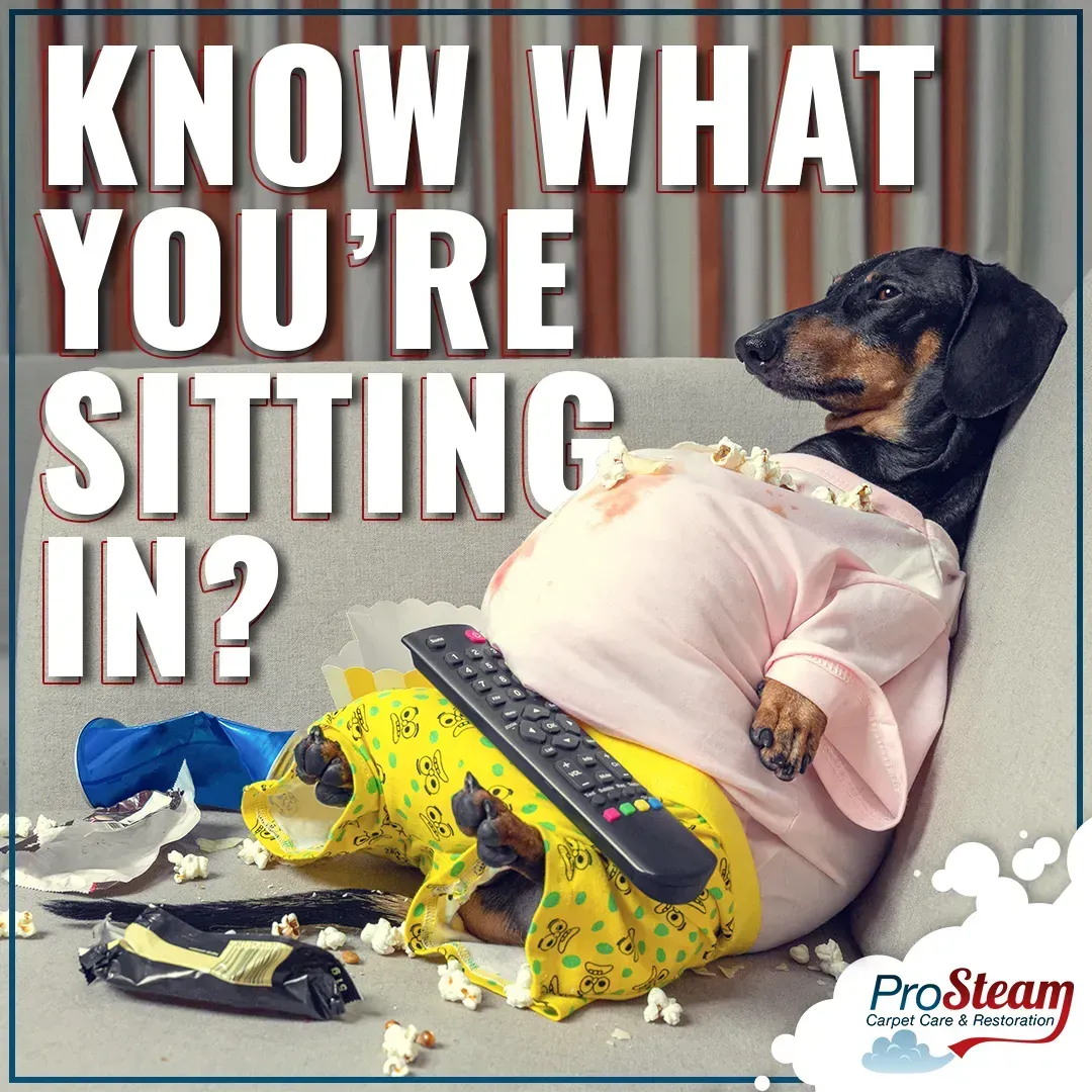 A dachshund is sitting on a couch with a remote control.