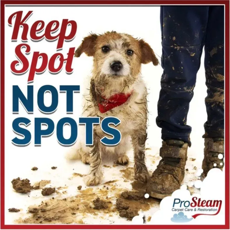 A poster that says keep spot not spots on it