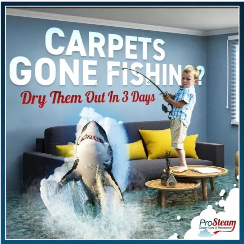 A poster that says carpets gone fishing dry them out in 3 days