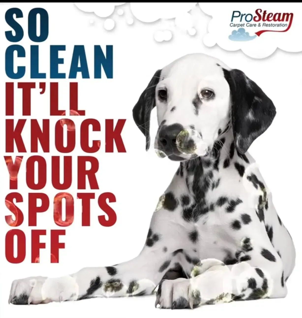 A dalmatian dog is on a poster that says so clean it 'll knock your spots off