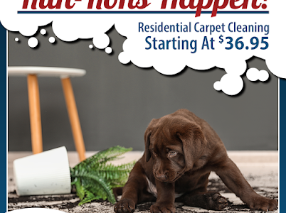 A brown puppy is sitting on a rug in a living room.