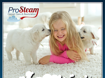 A little girl is laying on the floor with two puppies.