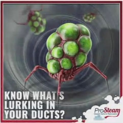 A poster that says know what 's lurking in your ducts