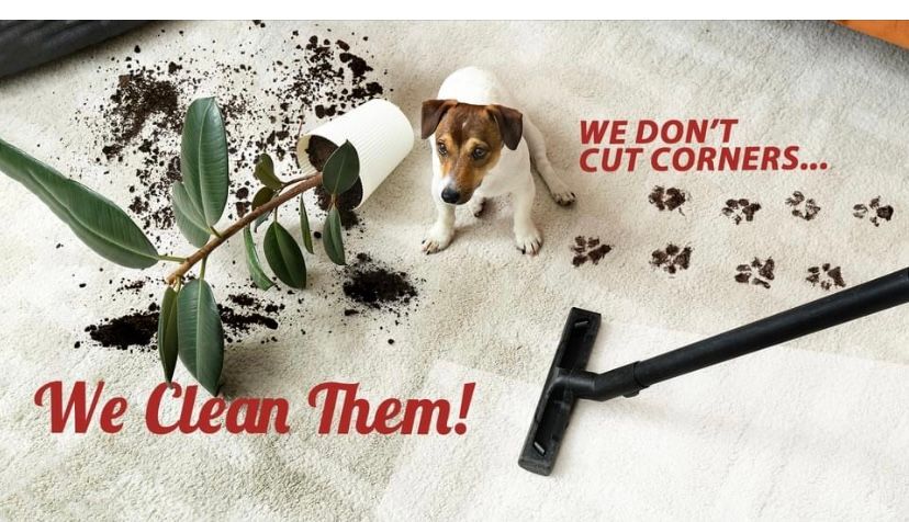 A picture of a dog and a vacuum cleaner that says we clean them
